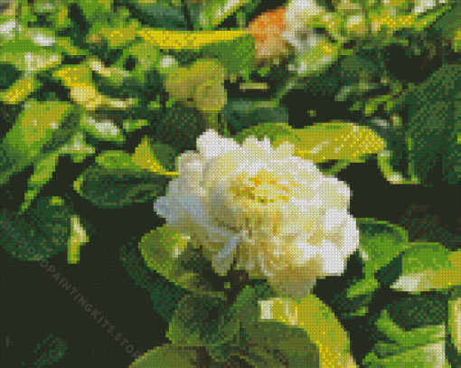 Jasminum Sambac 5D Diamond Painting