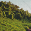 Kudzu 5D Diamond Painting