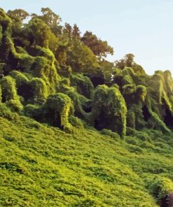 Kudzu 5D Diamond Painting