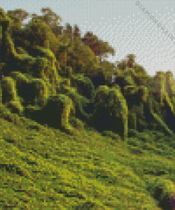 Kudzu 5D Diamond Painting