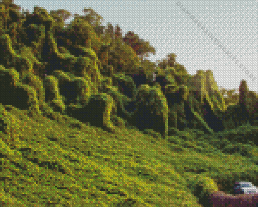 Kudzu 5D Diamond Painting