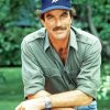 Magnum Pi 5D Diamond Painting