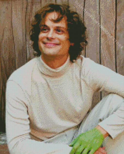 Matthew Gubler 5D Diamond Painting