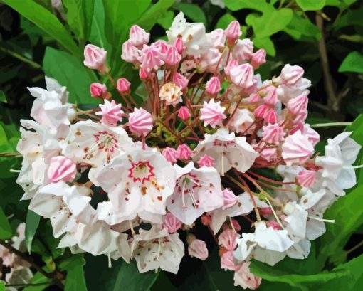 Mountain Laurel 5D Diamond Painting