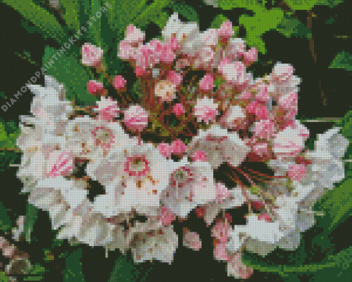 Mountain Laurel 5D Diamond Painting