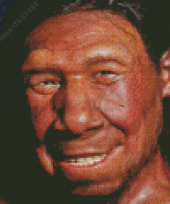 Neanderthal 5D Diamond Painting