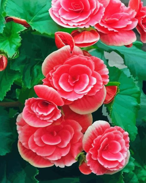 Pink Begonias 5D Diamond Painting