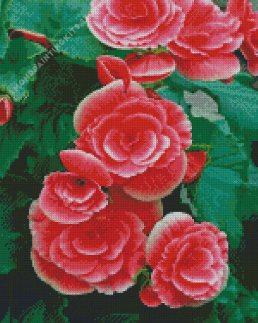 Pink Begonias 5D Diamond Painting