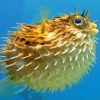 Floating Puffer Fish 5D Diamond Painting