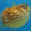 Floating Puffer Fish 5D Diamond Painting