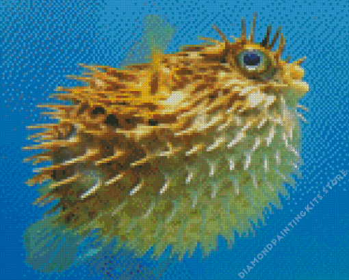 Floating Puffer Fish 5D Diamond Painting