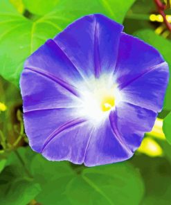 Purple Morning Glory 5D Diamond Painting