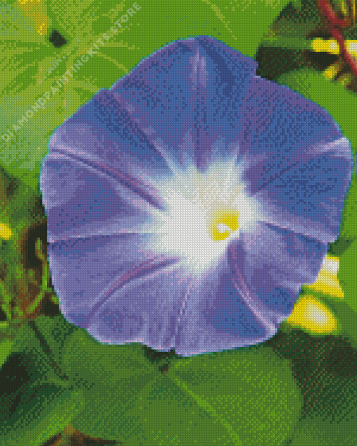 Purple Morning Glory 5D Diamond Painting