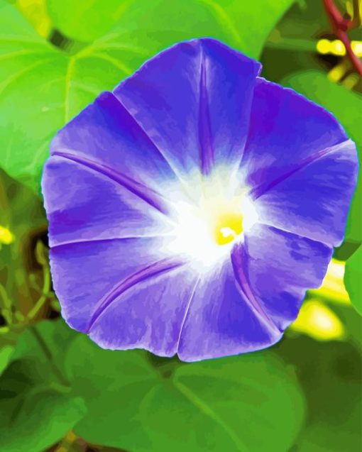 Purple Morning Glory 5D Diamond Painting