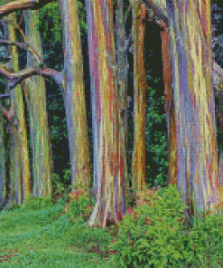 Rainbow Eucalyptus 5D Diamond Painting