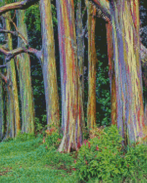 Rainbow Eucalyptus 5D Diamond Painting