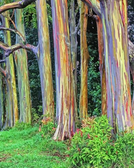 Rainbow Eucalyptus 5D Diamond Painting