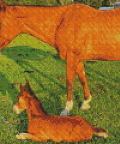 Red Horse With Foal 5D Diamond Painting