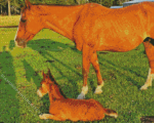 Red Horse With Foal 5D Diamond Painting