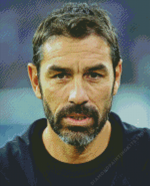 Robert Pires 5D Diamond Painting