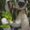 Sifaka 5D Diamond Painting