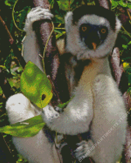 Sifaka 5D Diamond Painting