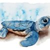 Small Turtle 5D Diamond Painting