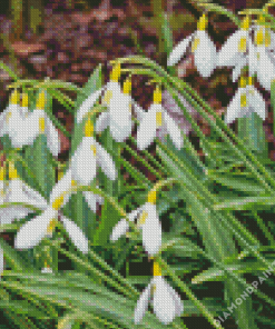Colorful Snowdrops Flower 5D Diamond Painting