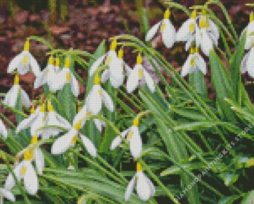 Colorful Snowdrops Flower 5D Diamond Painting