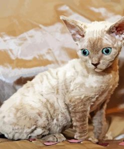 The Devon Rex Cat 5D Diamond Painting