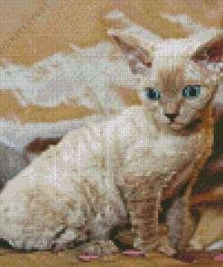 The Devon Rex Cat 5D Diamond Painting