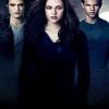 The Twilight Saga Eclipse 5D Diamond Painting