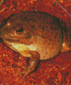 Water Holding Frog 5D Diamond Painting