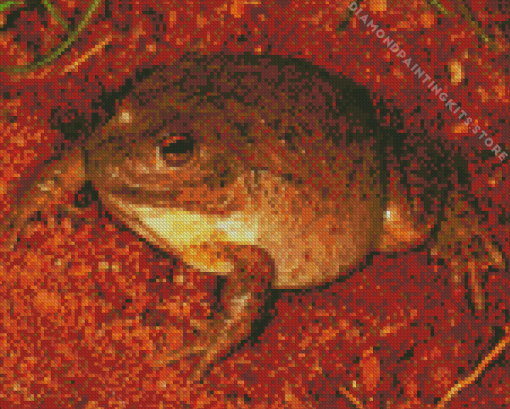 Water Holding Frog 5D Diamond Painting