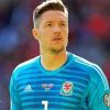 Wayne Hennessey 5D Diamond Painting