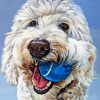 White Labradoodle Puppy 5D Diamond Painting