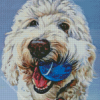 White Labradoodle Puppy 5D Diamond Painting