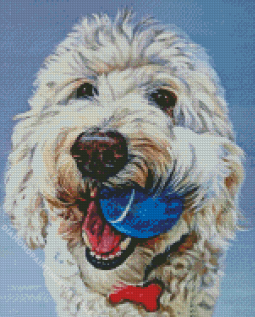 White Labradoodle Puppy 5D Diamond Painting