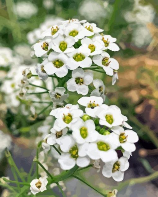 White Alyssum Plants 5D Diamond Painting