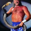 Wrestler Jake the Snake 5D Diamond Painting