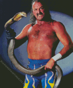 Wrestler Jake the Snake 5D Diamond Painting