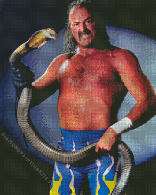 Wrestler Jake the Snake 5D Diamond Painting