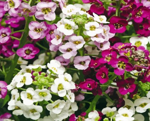 Alyssum 5D Diamond Painting