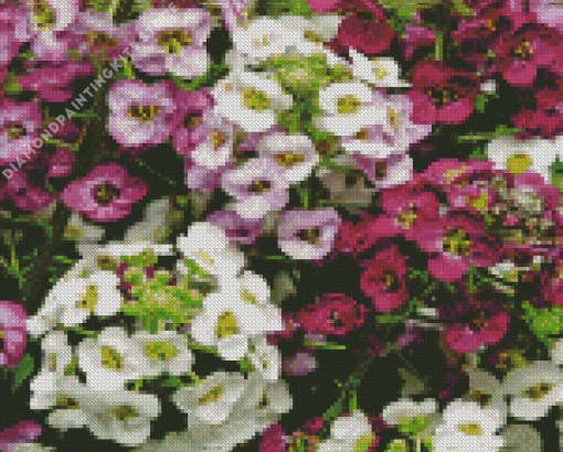 Alyssum 5D Diamond Painting