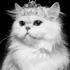 Black and White Queen Kitty 5D Diamond Painting