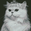 Black and White Queen Kitty 5D Diamond Painting