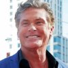 David Hasselhoff 5D Diamond Painting