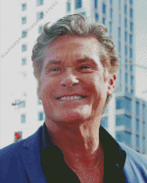 David Hasselhoff 5D Diamond Painting