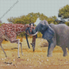 Elephant Giraffe Fight 5D Diamond Painting