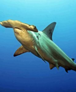 Hammerhead Shark 5D Diamond Painting